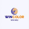 Wincolor Logo